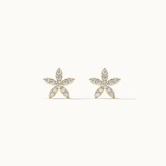Pearlé Essence 92.5 Silver Earrings for Women