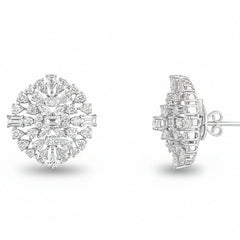 Petaline Shine 92.5 Silver Earrings for Women